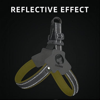 Dog & Cat Harness with Leash Set – Adjustable Reflective No-Pull Pet Harness for Walking & Training