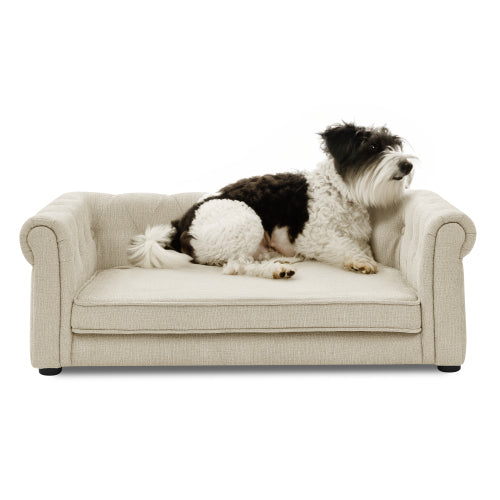 Modern Rectangular Pet Sofa Bed for Medium & Large Dogs