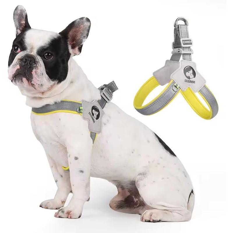 Dog & Cat Harness with Leash Set – Adjustable Reflective No-Pull Pet Harness for Walking & Training