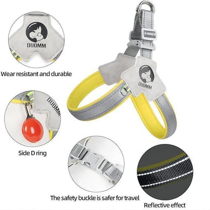 Dog & Cat Harness with Leash Set – Adjustable Reflective No-Pull Pet Harness for Walking & Training